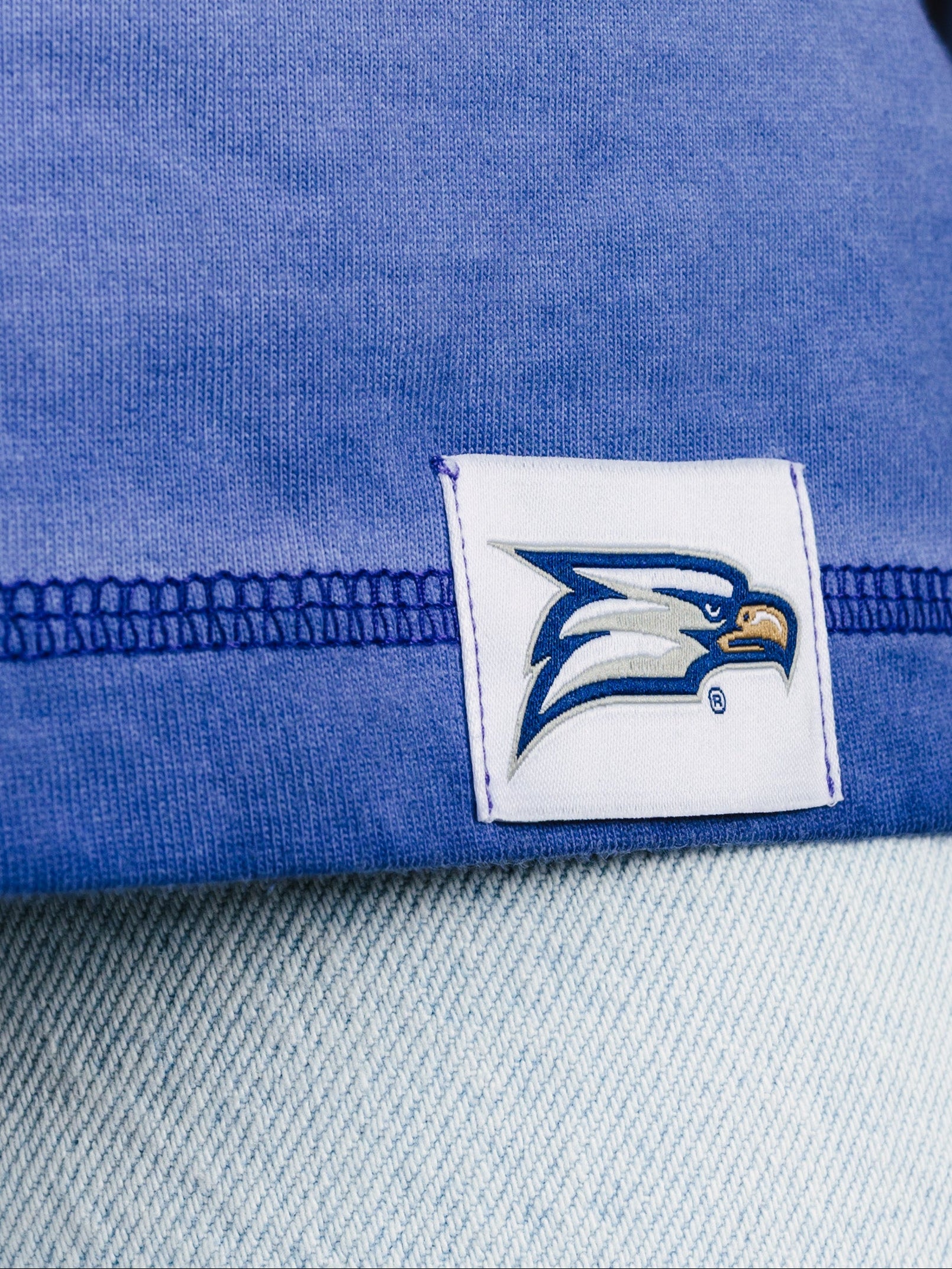 Georgia Southern men's "Eagle Head" acid wash T-shirt by Arena Graffiti, featuring a faded eagle logo on soft fabric.
