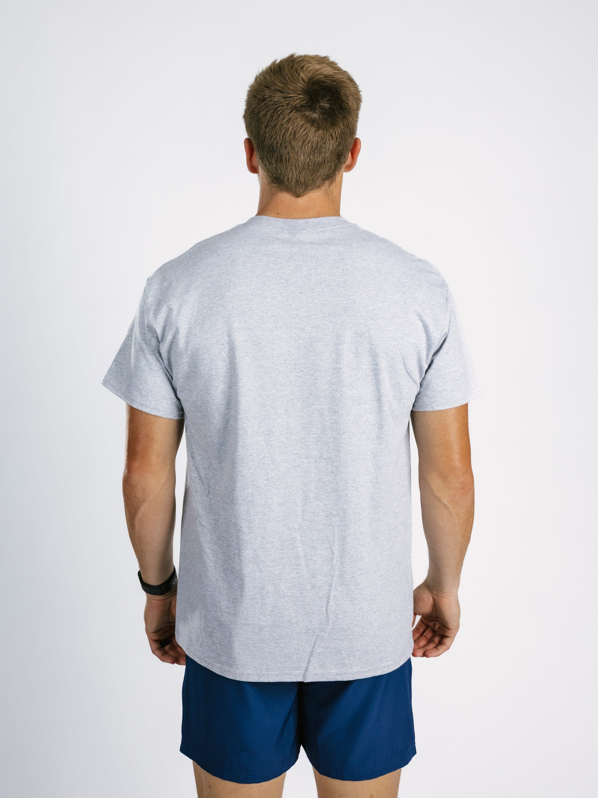 Gray Georgia Southern men's T-shirt featuring an eagle head graphic by Arena Graffiti, casual fit and soft fabric.