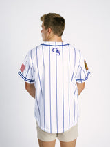 Georgia Southern Men's Pinstripe Eagles baseball jersey by Arena Graffiti, featuring team logo and classic pinstripe design.