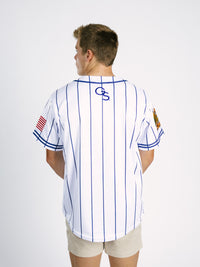Georgia Southern Men's Pinstripe Eagles baseball jersey by Arena Graffiti, featuring team logo and classic pinstripe design.
