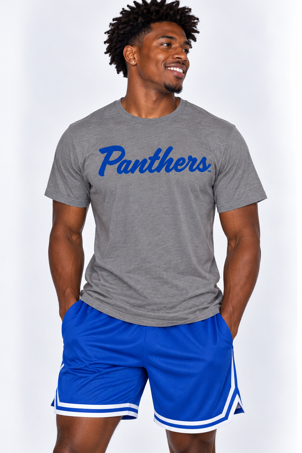 Georgia State Unisex Tee | "Panthers" Grey Tee