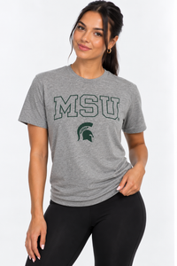 Michigan State Spartans Unisex | "MSU Spartan" Grey Tee