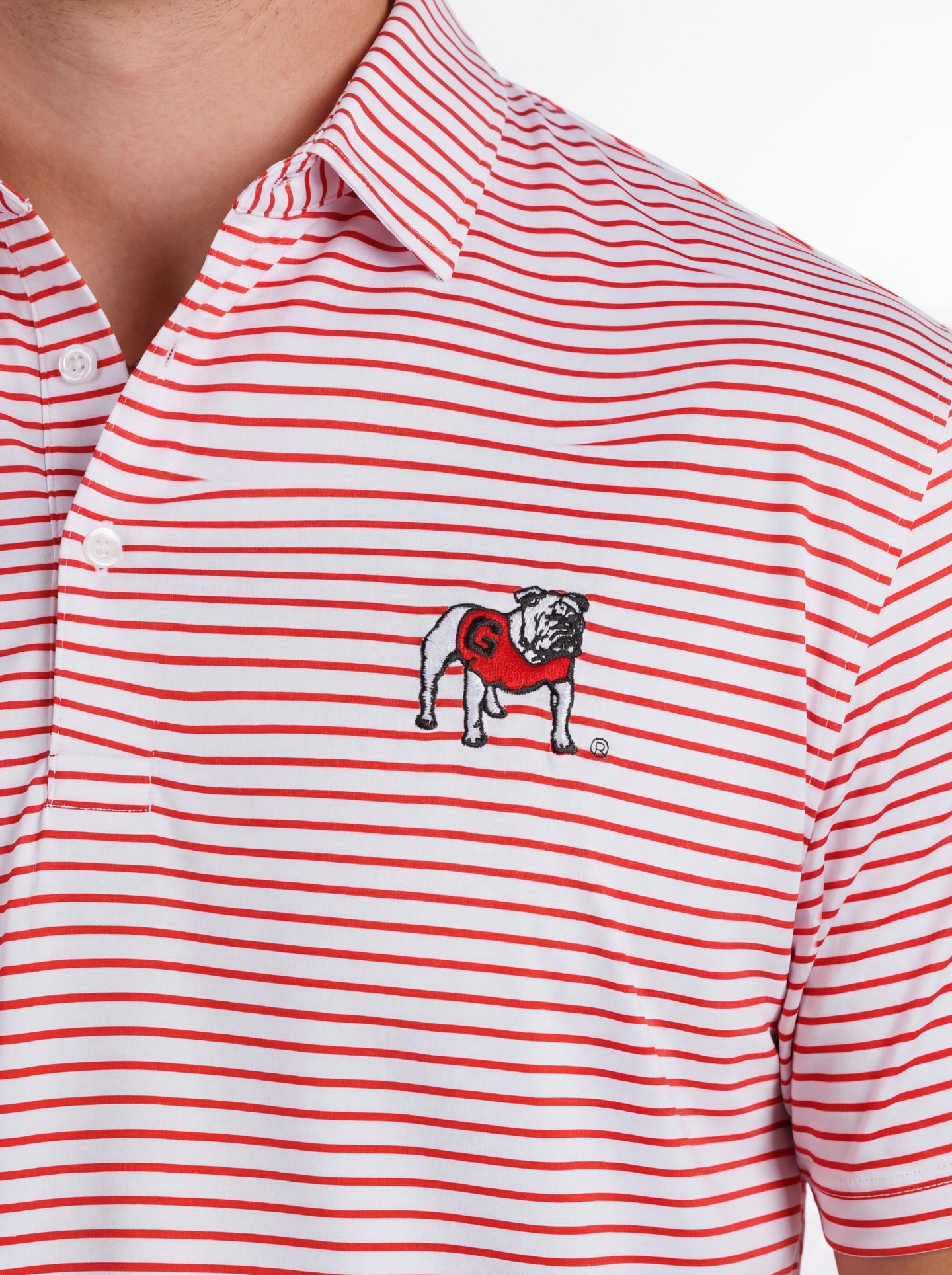 UGA Bulldogs men's "Standing Dawg" red and white striped polo shirt by Arena Graffiti, shown on a hanger.