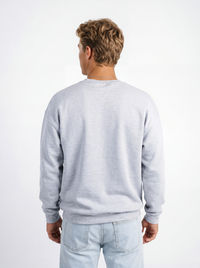 Georgia Southern men's grey crewneck sweatshirt with a prominent eagle head logo by Arena Graffiti.
