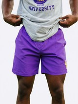 LSU Tigers men's lined shorts by Arena Graffiti featuring LSU logo and athletic design, with a comfortable fit and bold team colors.