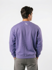 LSU Tigers men's heavyweight crewneck sweatshirt by Arena Graffiti featuring LSU logo and team name in bold print.