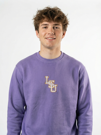 LSU Tigers men's heavyweight crewneck sweatshirt by Arena Graffiti with LSU logo and team colors, front view.