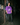 The Vinyl | Records Tee (Purple) — Men's