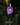 The Vinyl | Records Tee (Purple) — Women's